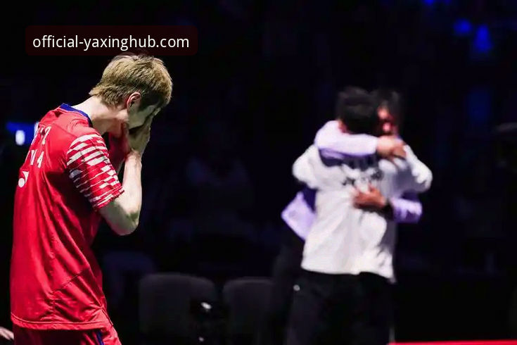 从石宇奇夺冠看流畅观赛体验的实用技巧