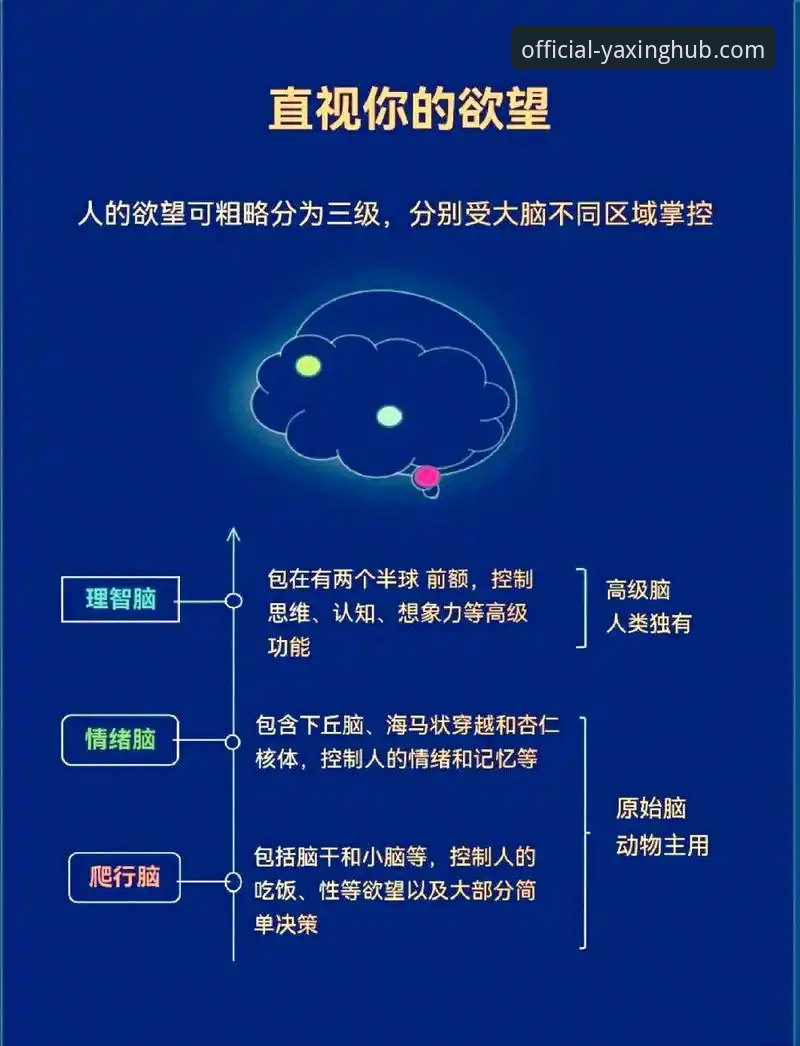 3个关键维度告诉你：最新亚星娱乐官网使用体验到底怎么样