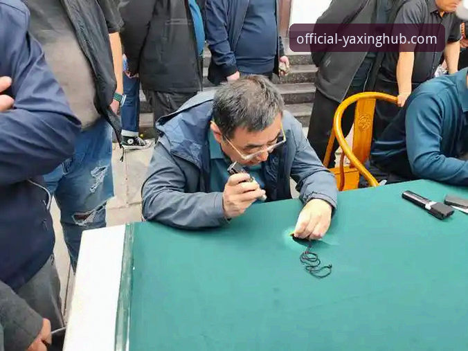 一位资深用户对亚星娱乐官网的深度剖析与安全体验心得